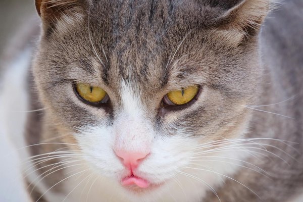 Jahreszeiten-Mode-Hacks: Unsichtbare Geheimnisse, die dein Outfit revolutionieren